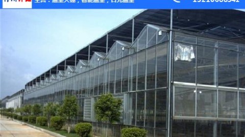 2026智慧温室设计方案：从跑冒滴漏到智能管控，这8组数字你不得不知