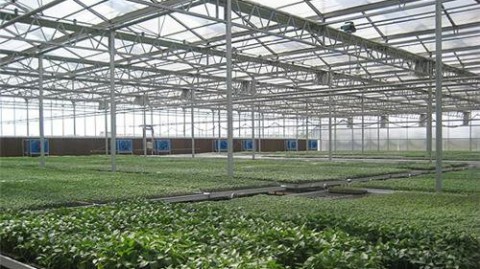 七口人的88平温州永嘉小屋，能装下三代同堂和两个小孩，全靠这4处一寸不让的设计