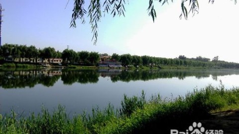 12年经验沉淀：这9条小型垂钓园设计方案，让你的钓场鱼获量和回头客翻倍