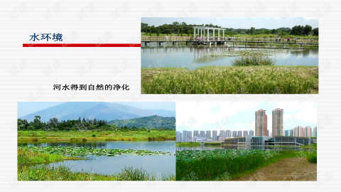 打造爆款景观设计方案PPT：1个N+2C公式+5大避坑指南（附预算拆解）