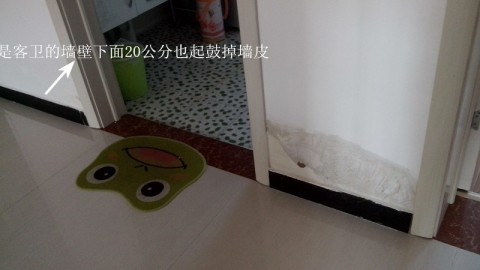 你家墙面长水泡？赶紧花2分钟看完这篇，能省几千块