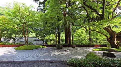 庭院鱼池3天变绿？洛阳设计师：做好这5步，让景观池塘20年不落叶不渗漏